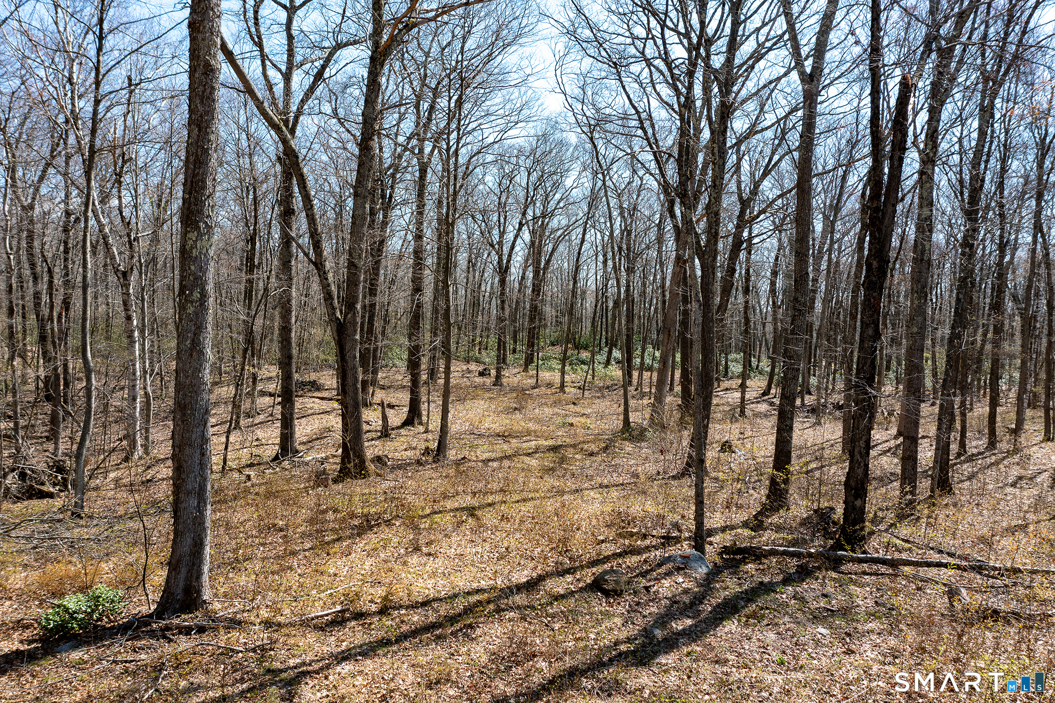 22 Old Paddock Lane Kent CT 06785