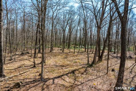 22 Old Paddock Lane Kent CT 06785