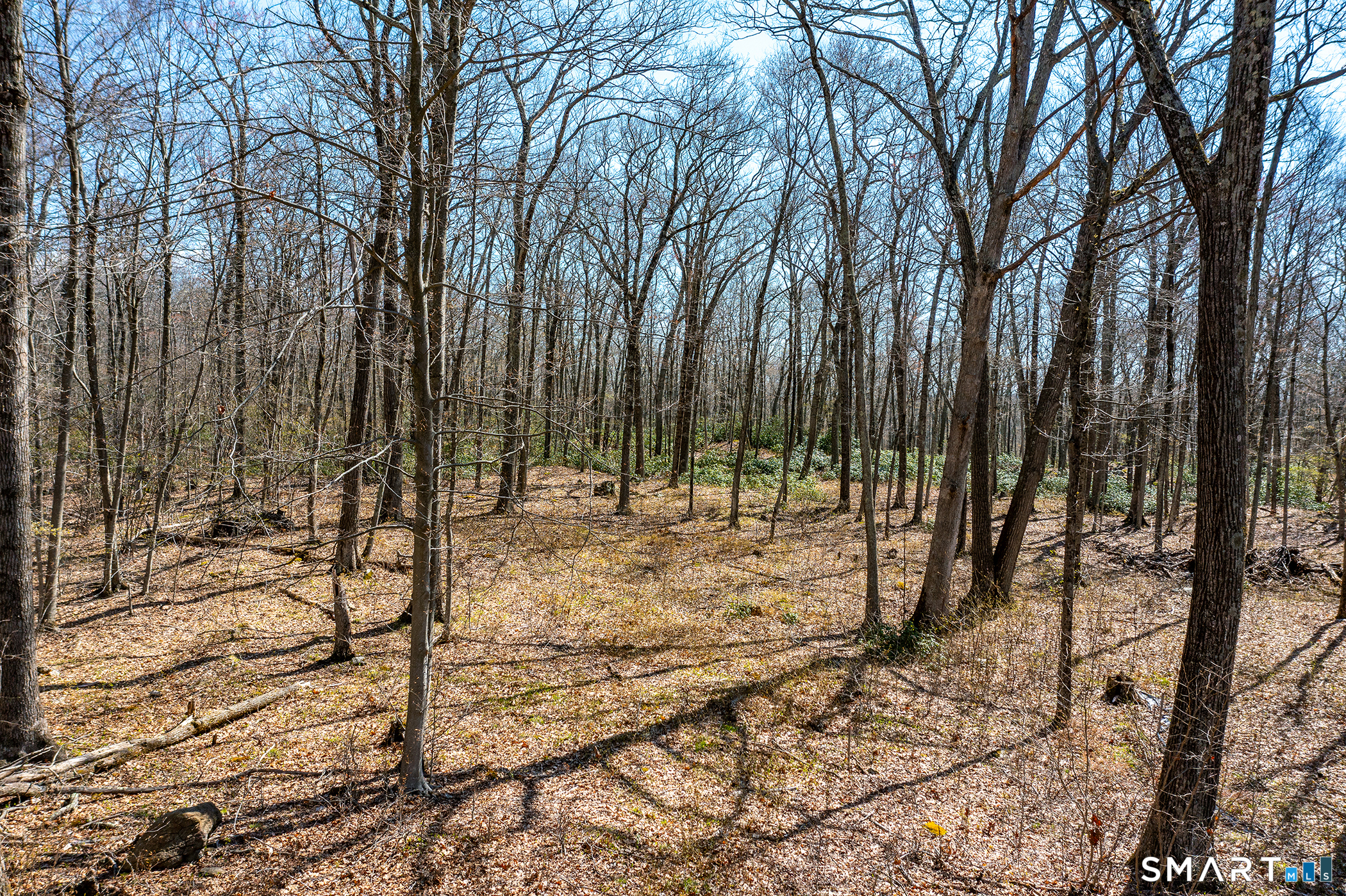 22 Old Paddock Lane Kent CT 06785