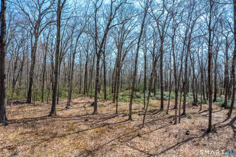 22 Old Paddock Lane Kent CT 06785