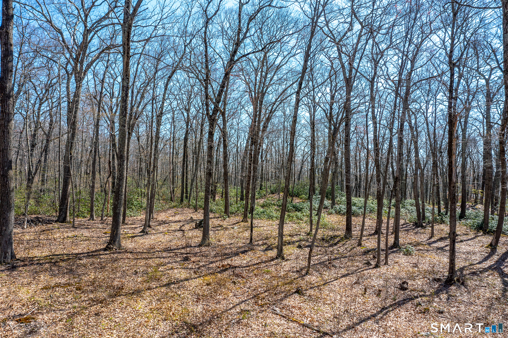 22 Old Paddock Lane Kent CT 06785