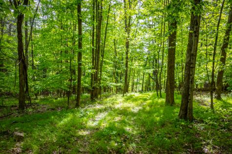 198-1 Beebe Hill Road Canaan CT 06031