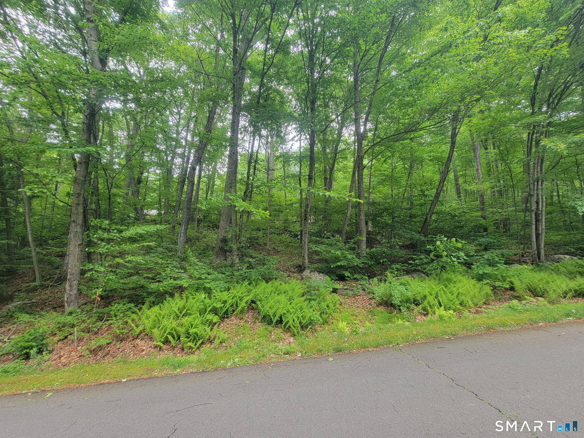 17 (Lot 2) Secret Mountain Trail Canton CT 06019