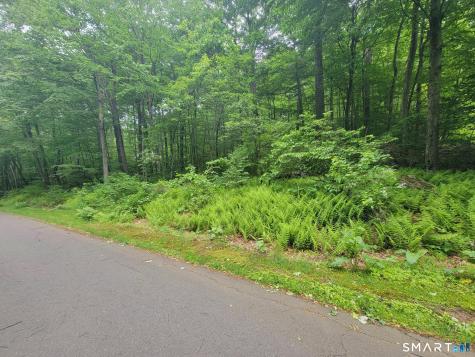 17 (Lot 2) Secret Mountain Trail Canton CT 06019