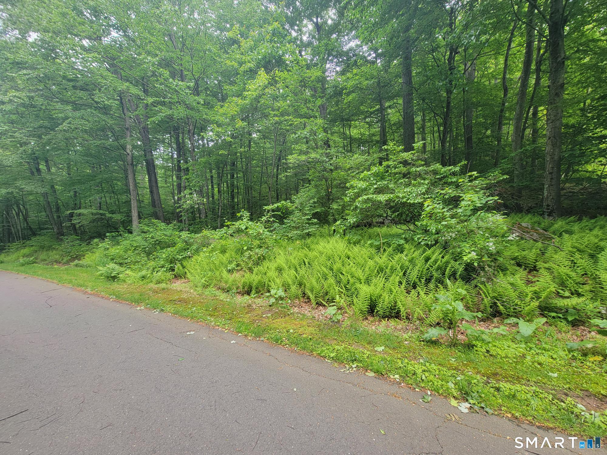 17 (Lot 2) Secret Mountain Trail Canton CT 06019