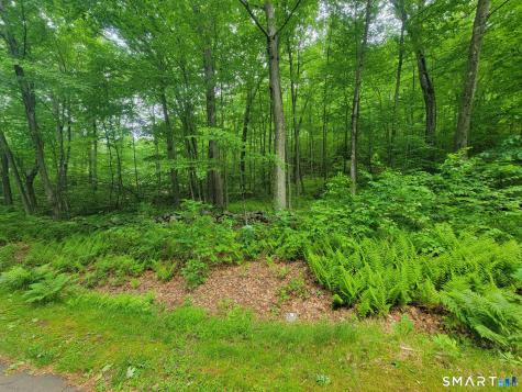 17 (Lot 2) Secret Mountain Trail Canton CT 06019