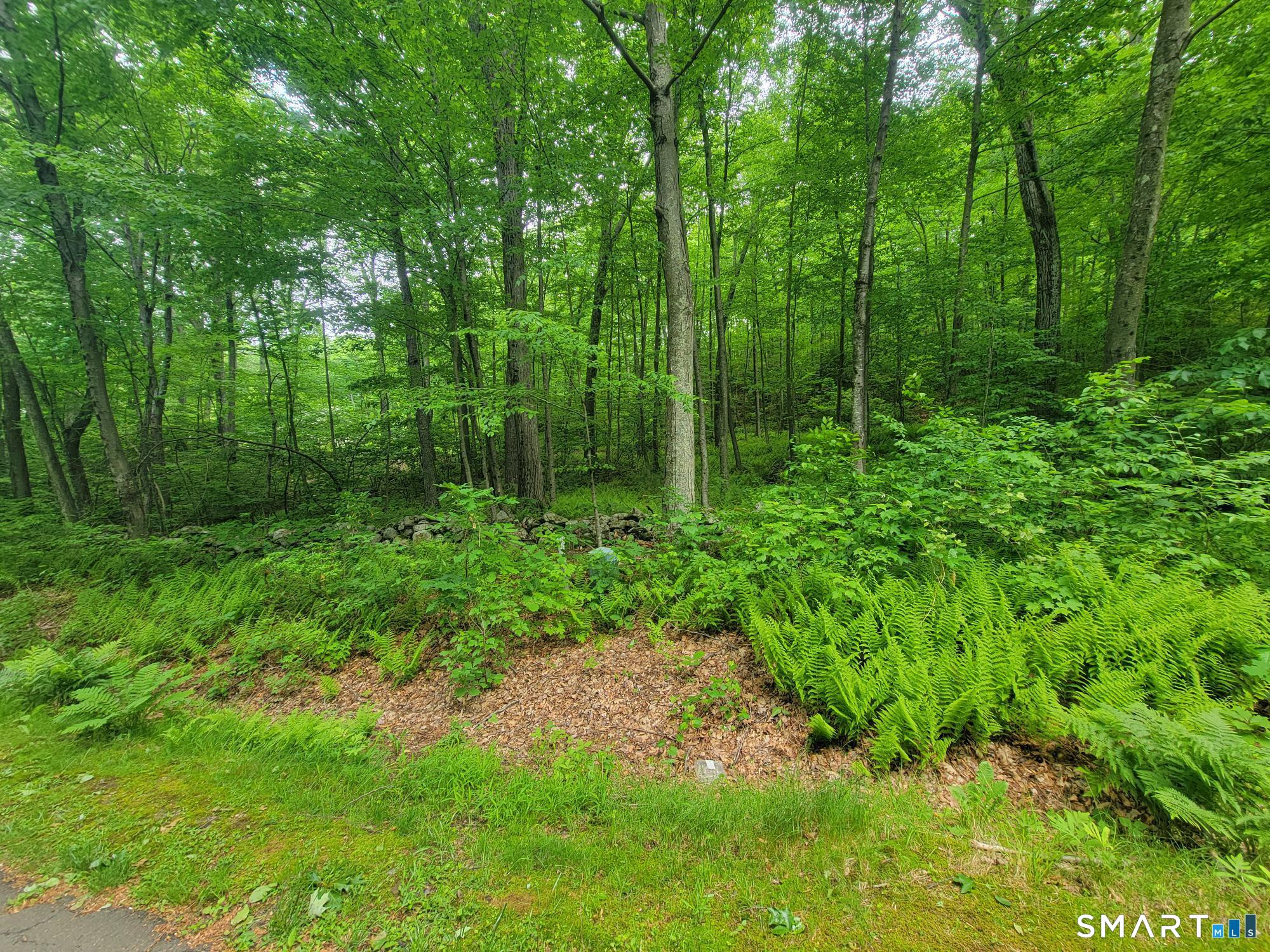 17 (Lot 2) Secret Mountain Trail Canton CT 06019