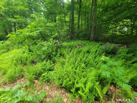 17 (Lot 2) Secret Mountain Trail Canton CT 06019