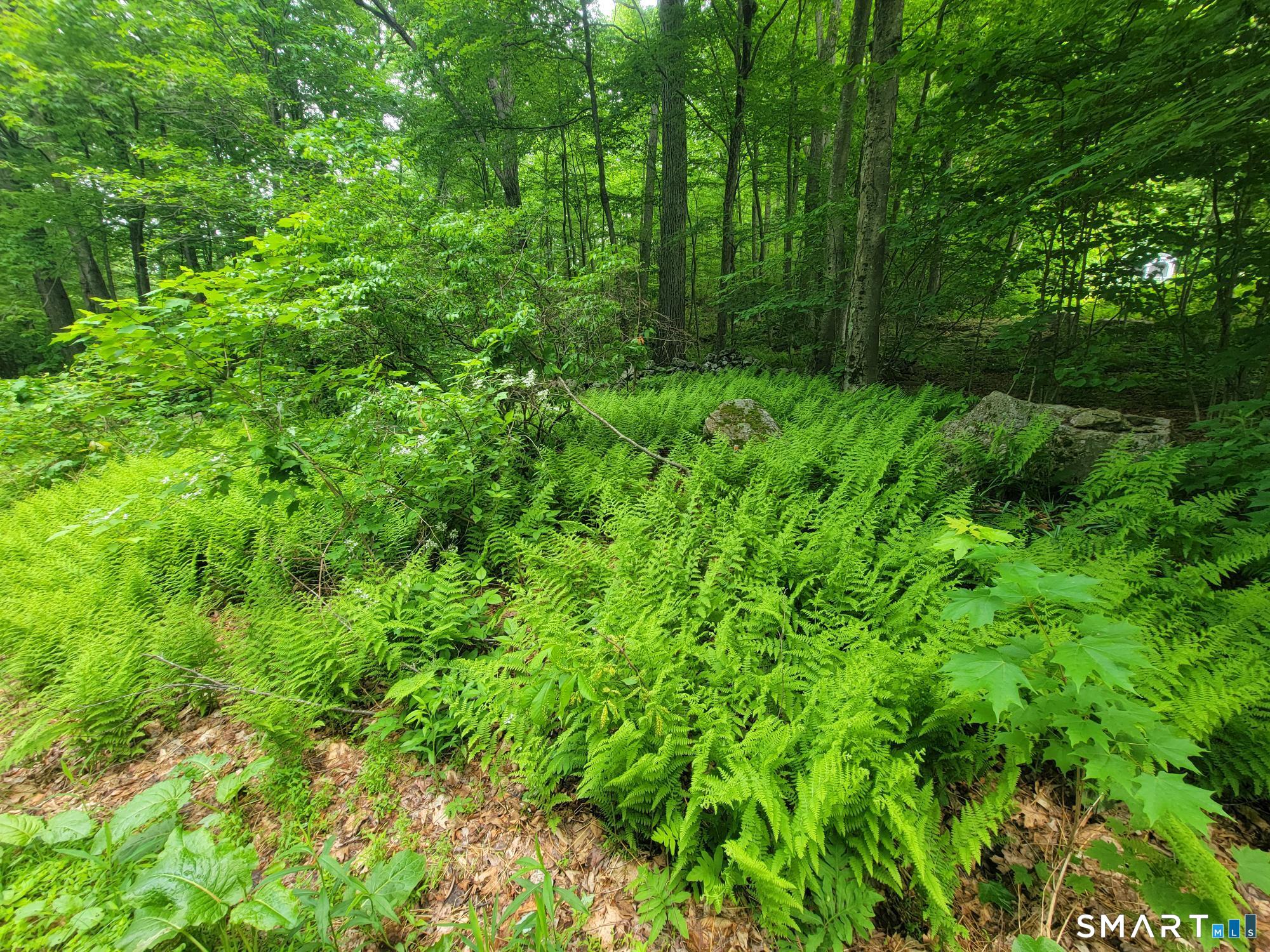17 (Lot 2) Secret Mountain Trail Canton CT 06019