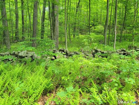 17 (Lot 2) Secret Mountain Trail Canton CT 06019