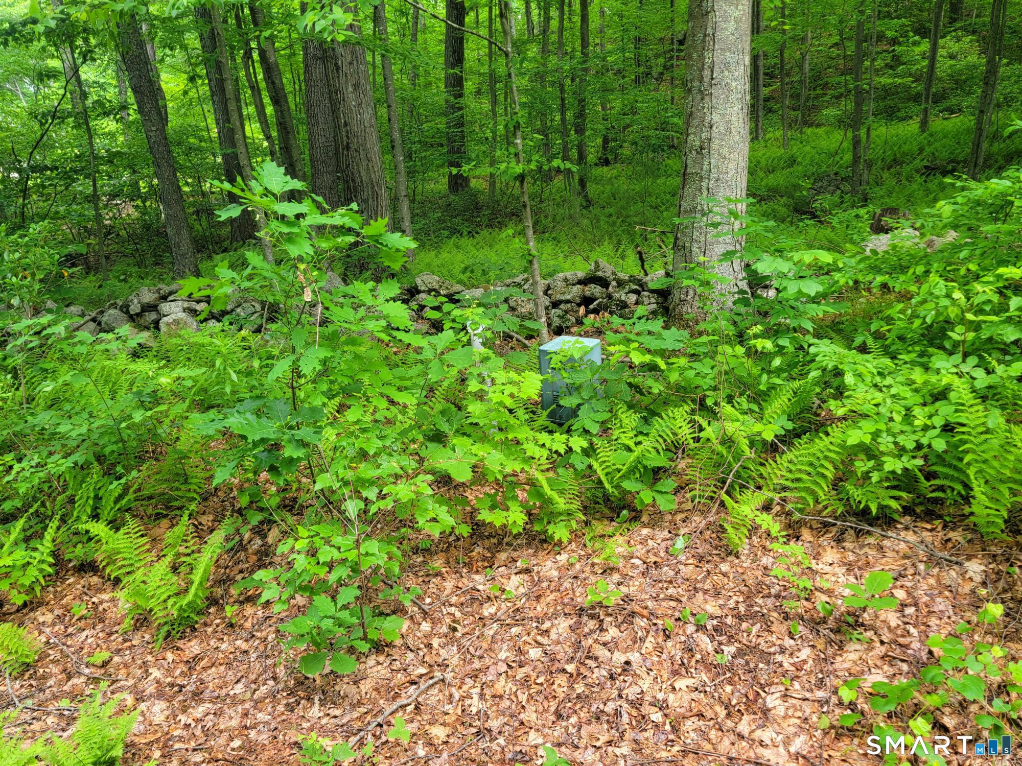 17 (Lot 2) Secret Mountain Trail Canton CT 06019