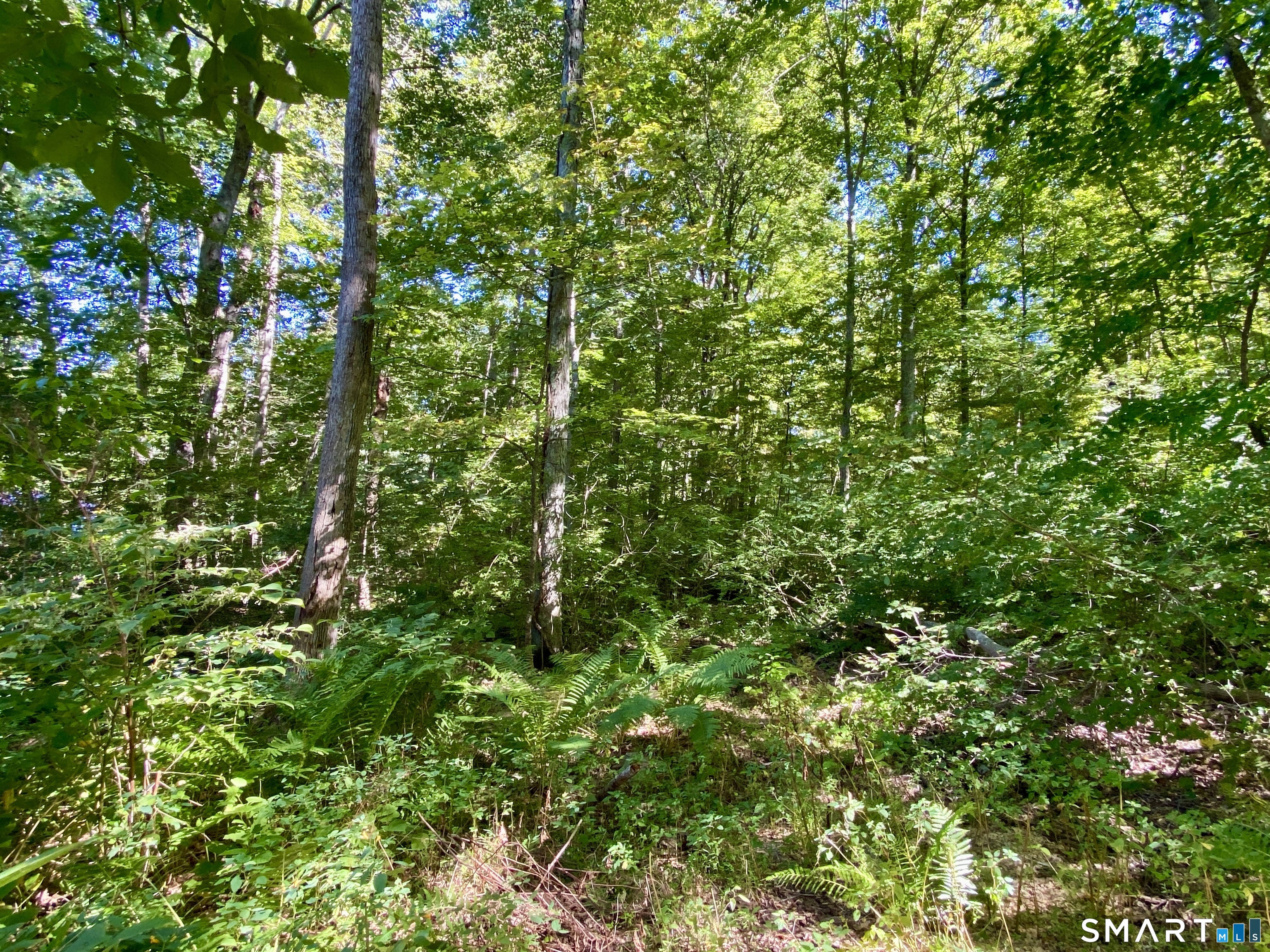 Seagraves Road Coventry CT 06238