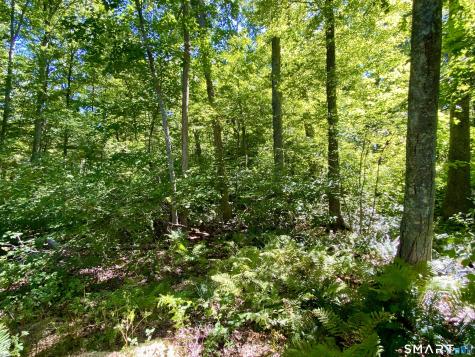 Seagraves Road Coventry CT 06238