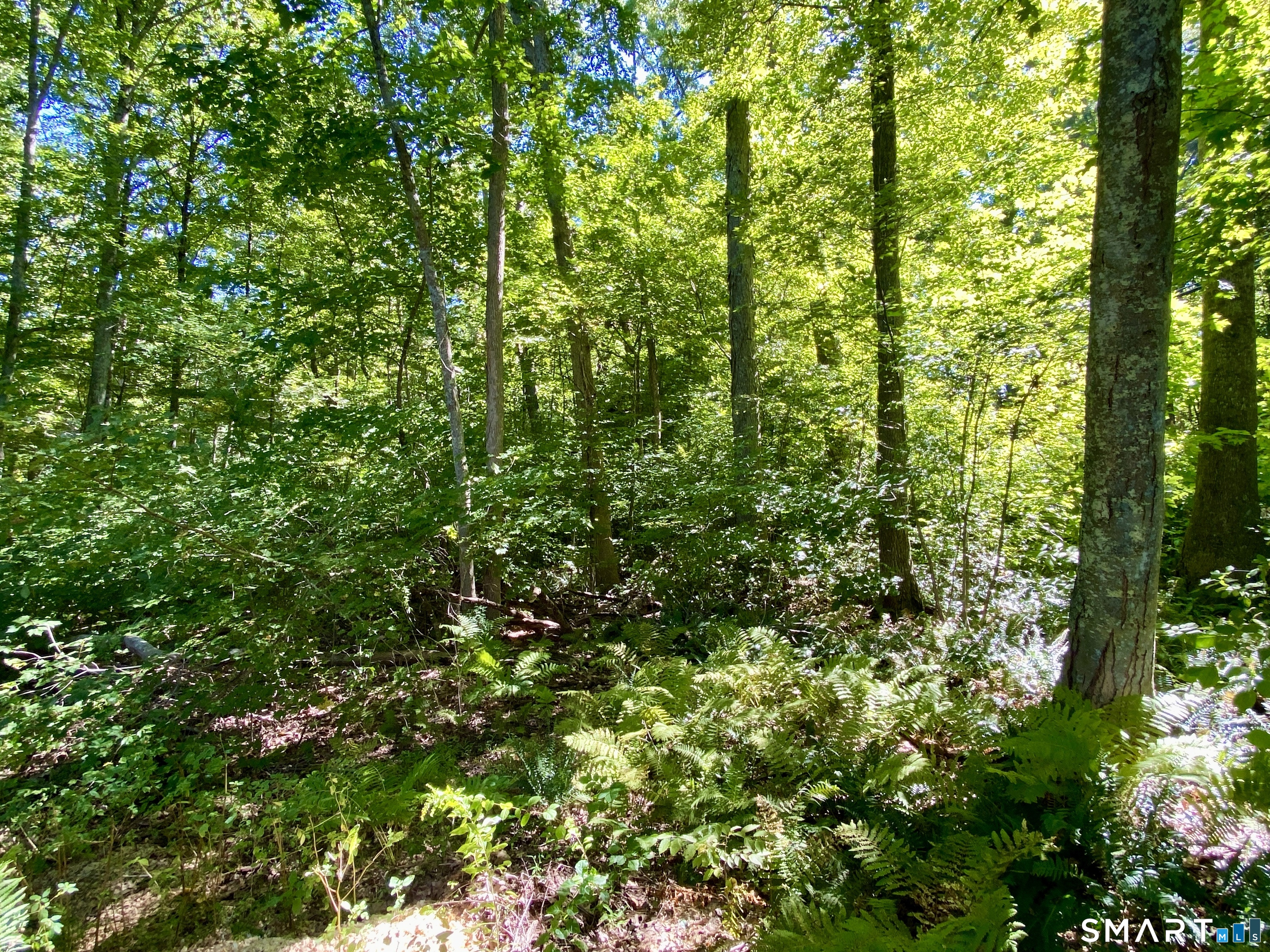 Seagraves Road Coventry CT 06238