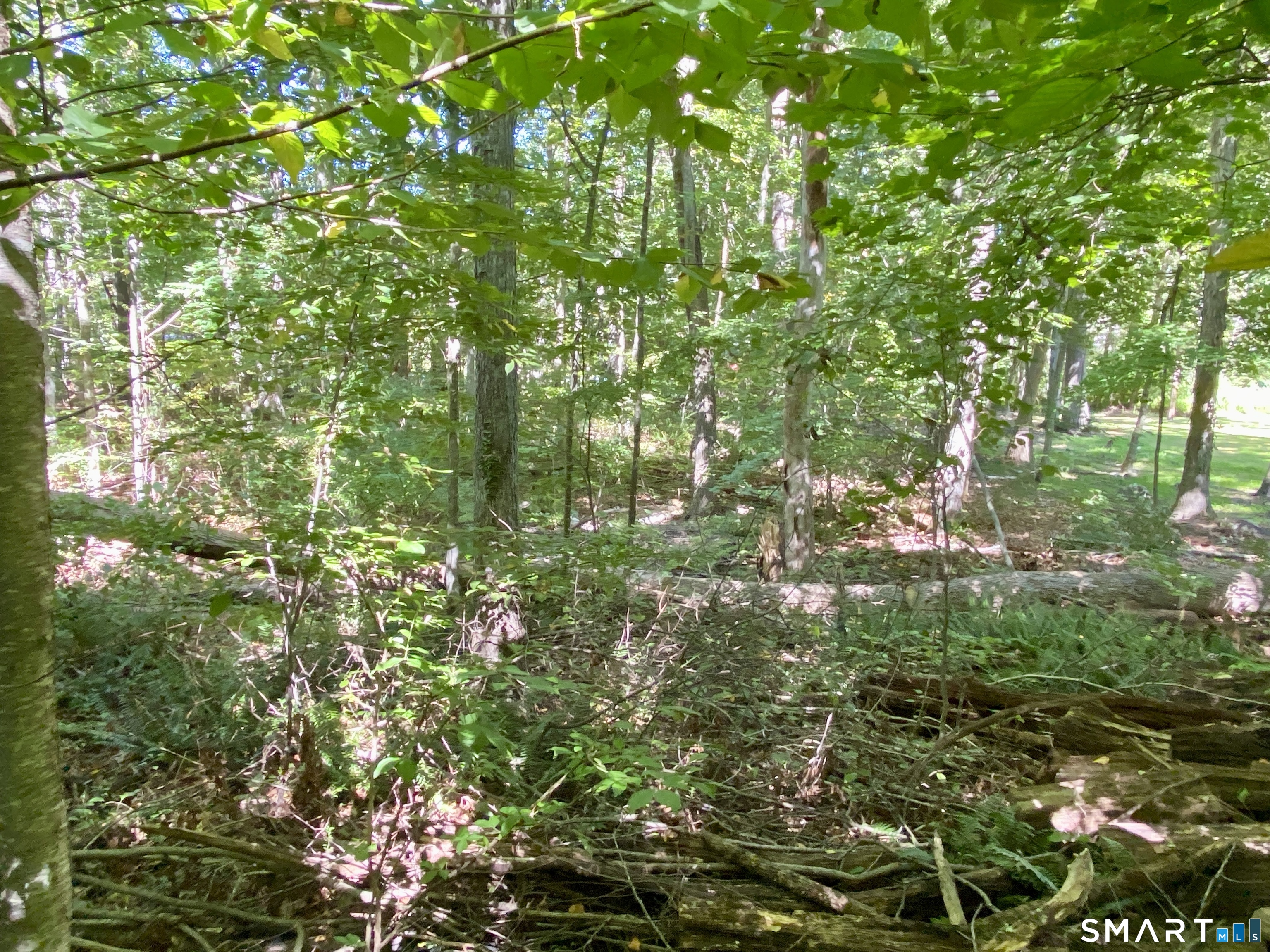 Seagraves Road Coventry CT 06238