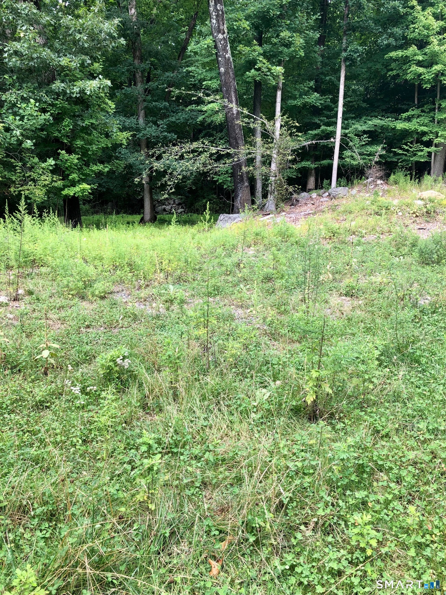 3 Highwood Lane Wilton CT 06897