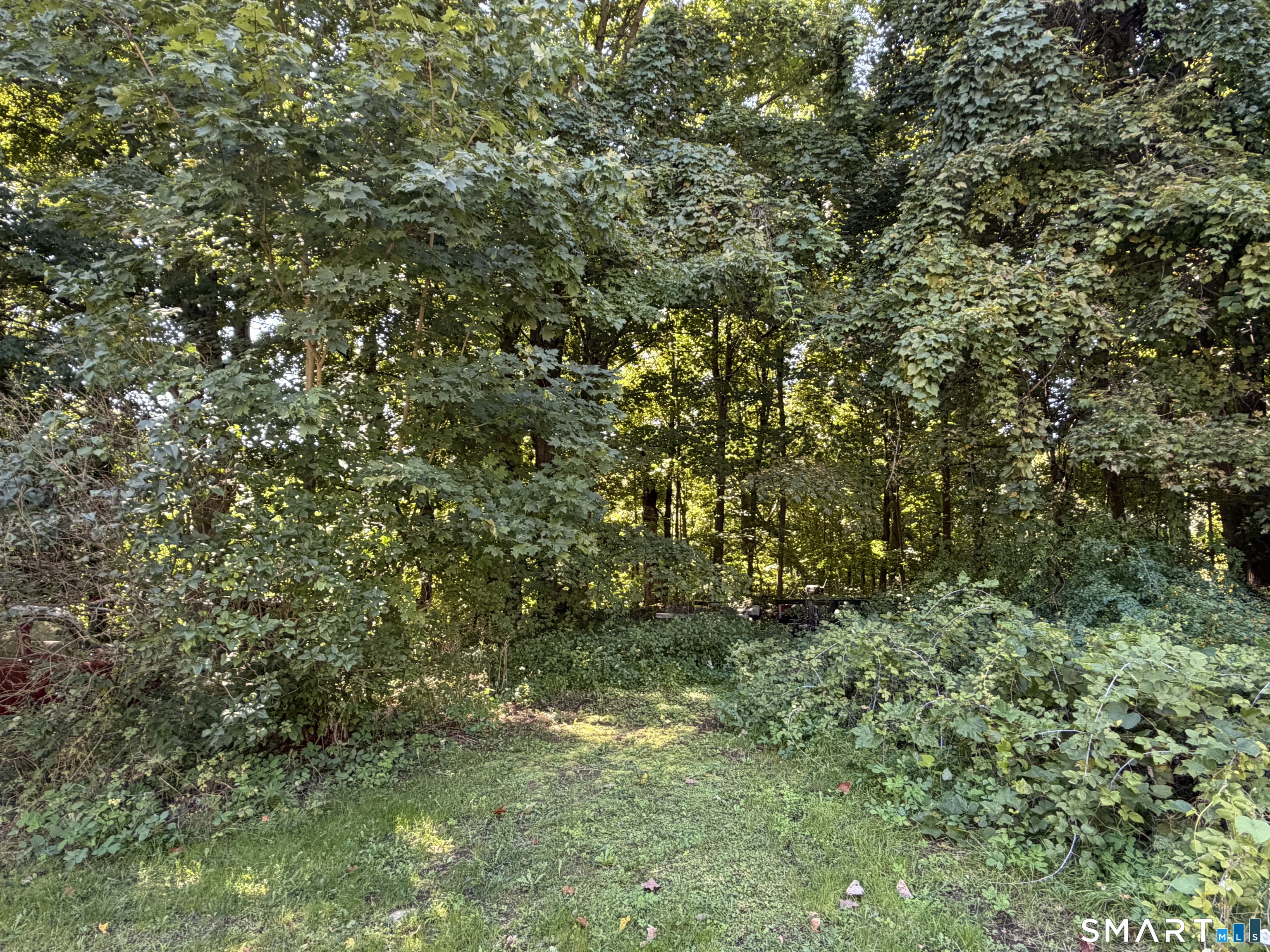 684 Millville Avenue Naugatuck CT 06770