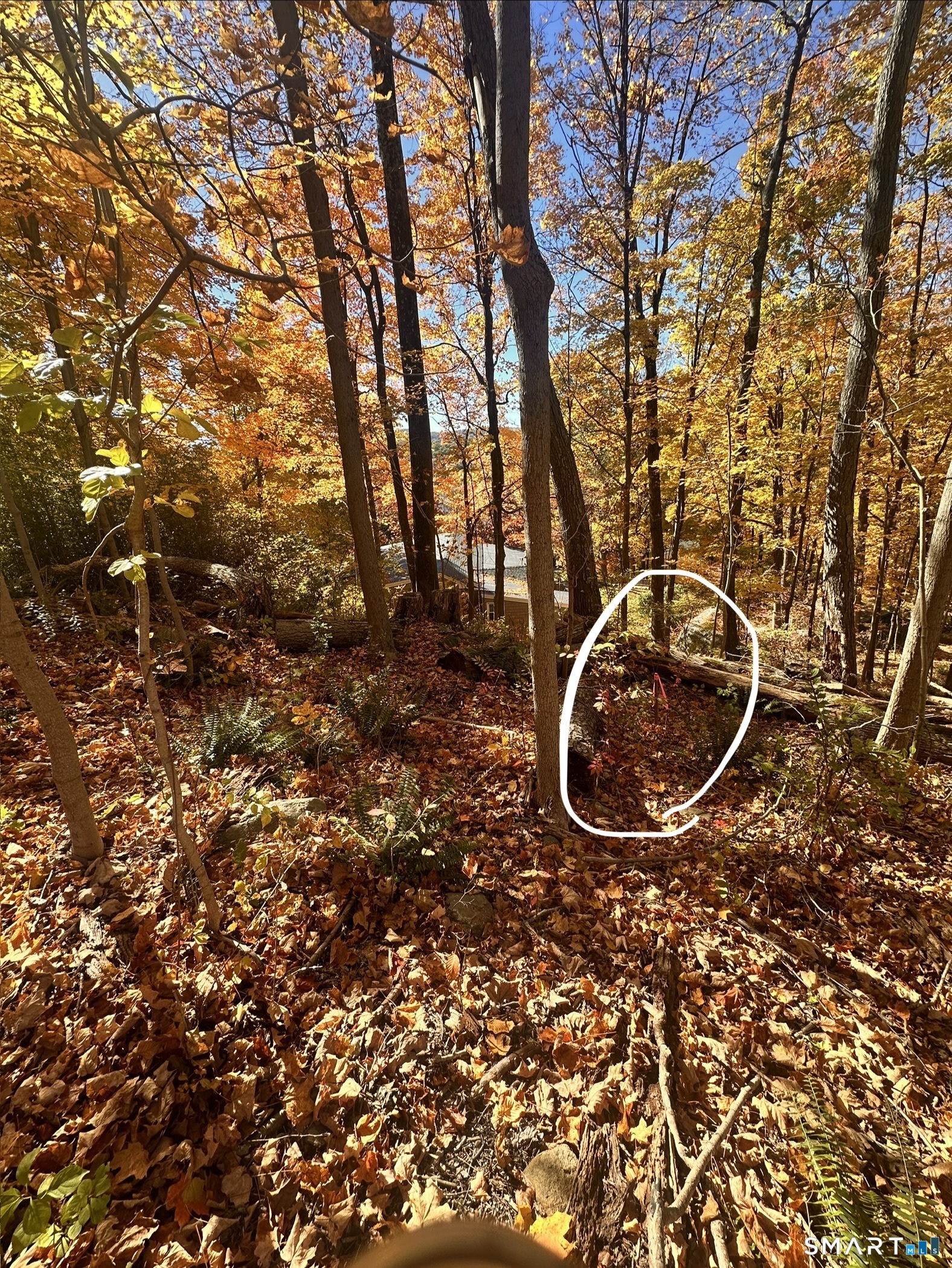 Juniper Drive New Milford CT 06776