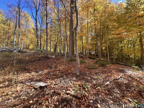 Juniper Drive New Milford CT 06776