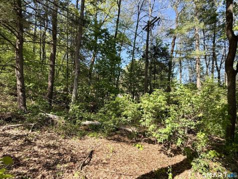 4 West Side Drive Barkhamsted CT 06063