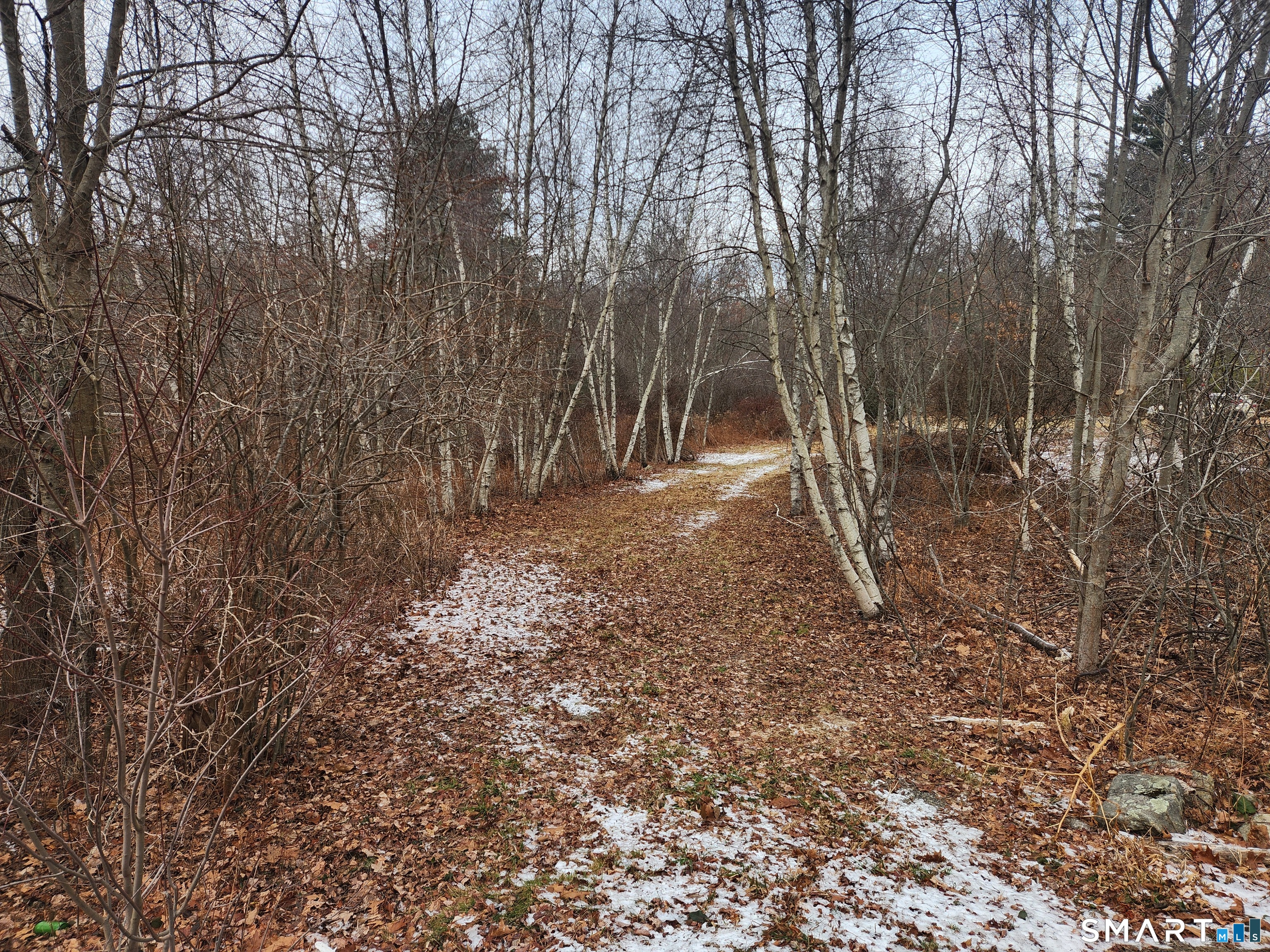 Lyon Hill Road Woodstock CT 06281