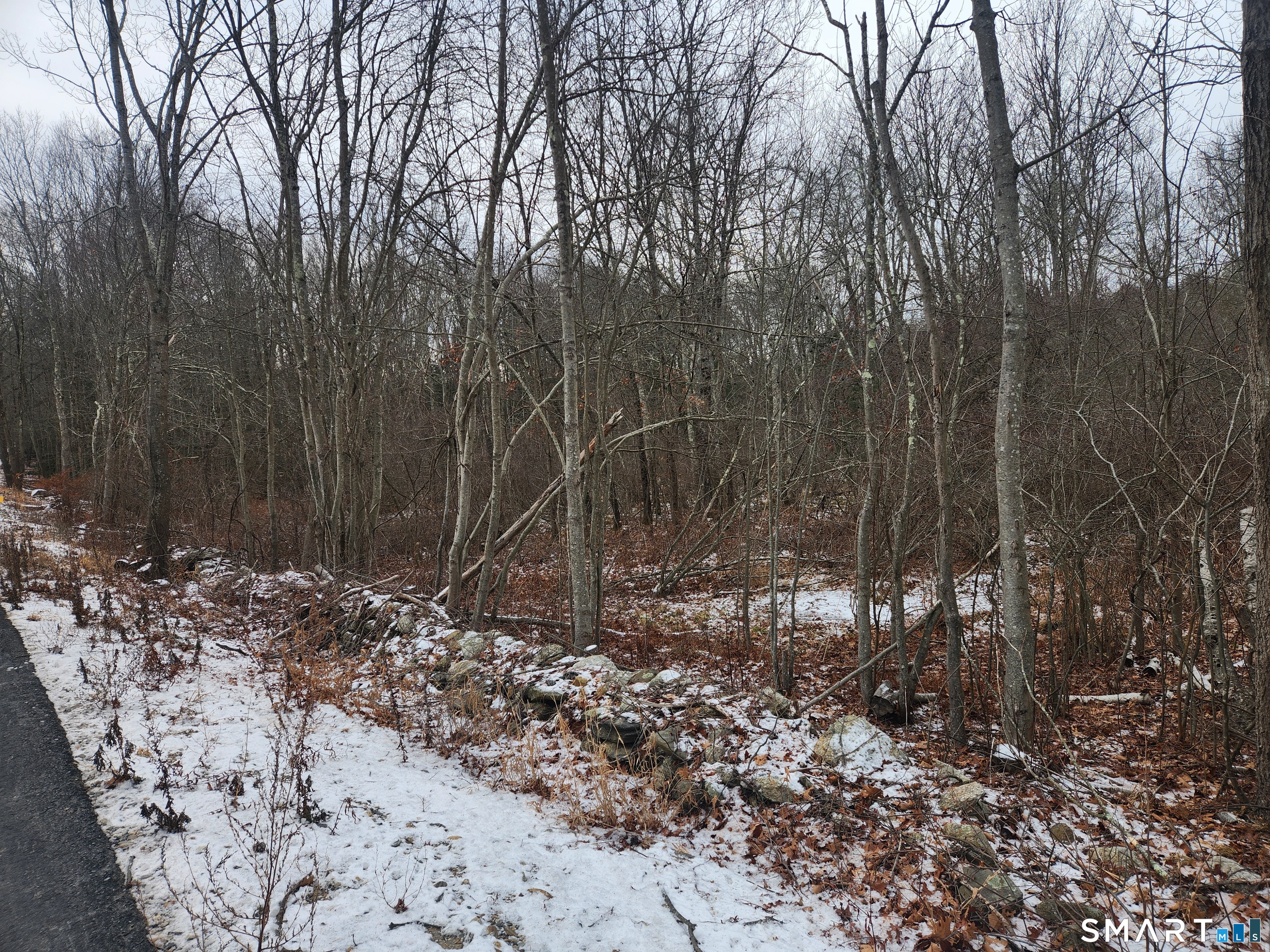 Lyon Hill Road Woodstock CT 06281