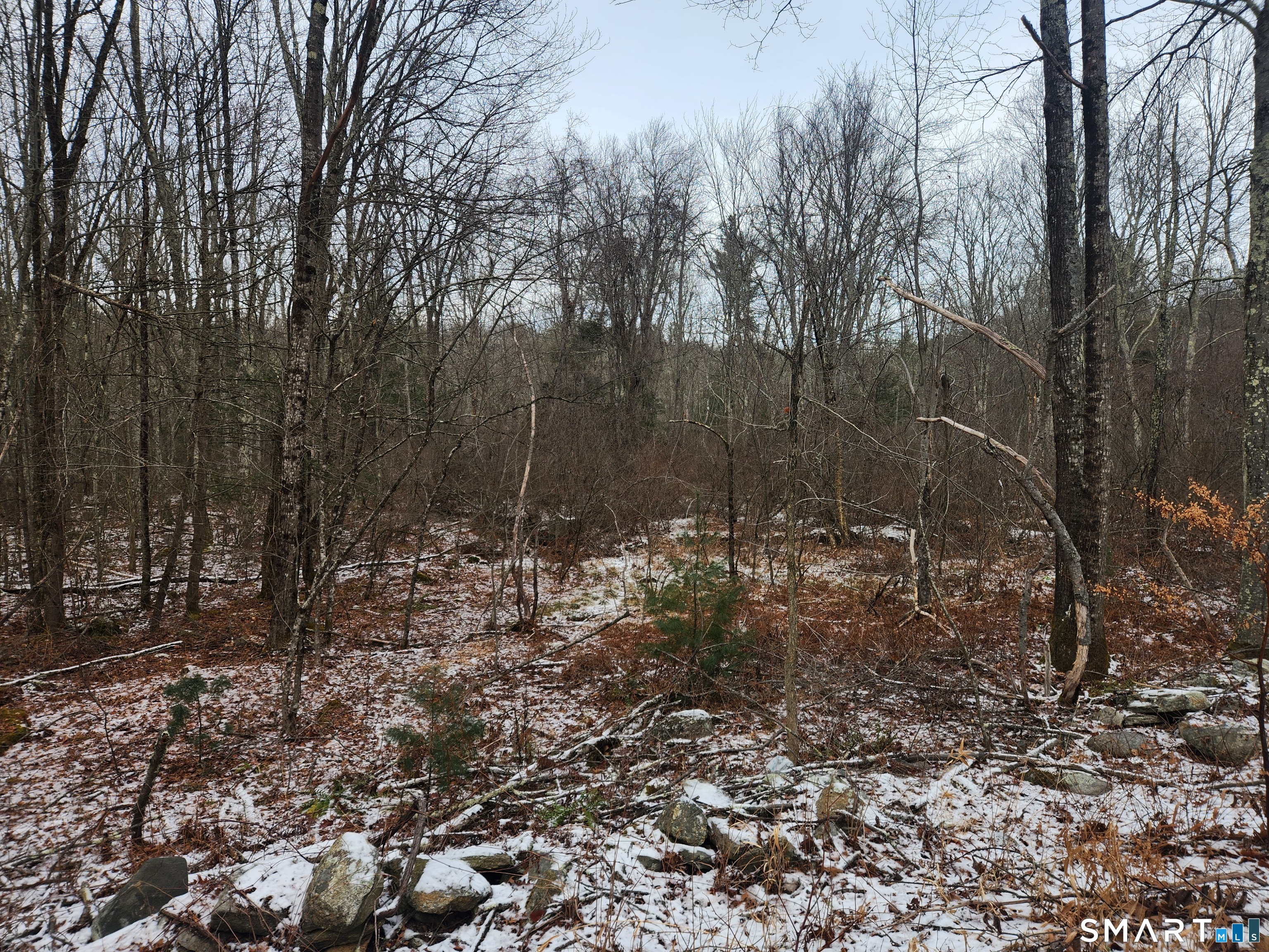 Lyon Hill Road Woodstock CT 06281