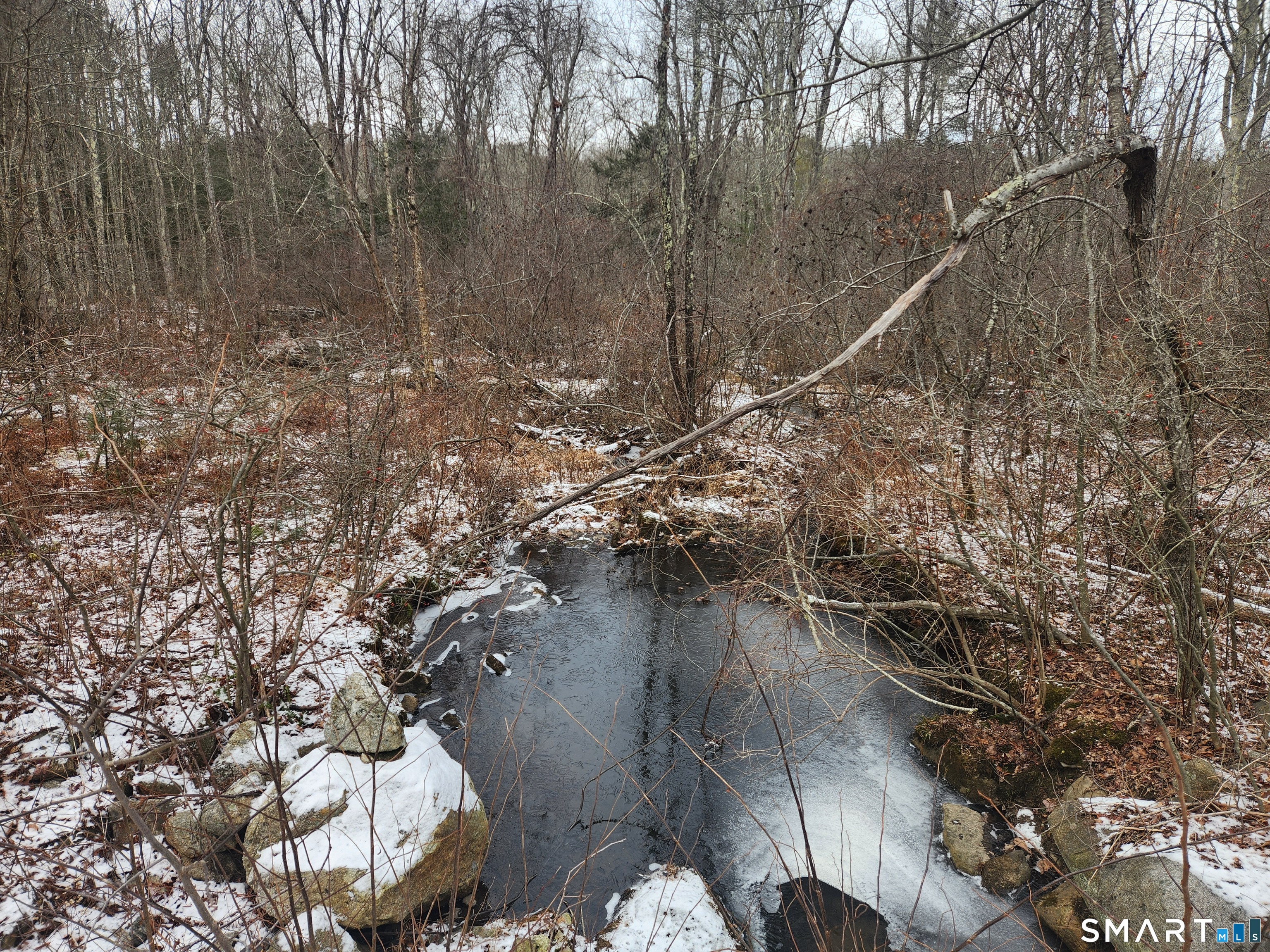 Lyon Hill Road Woodstock CT 06281