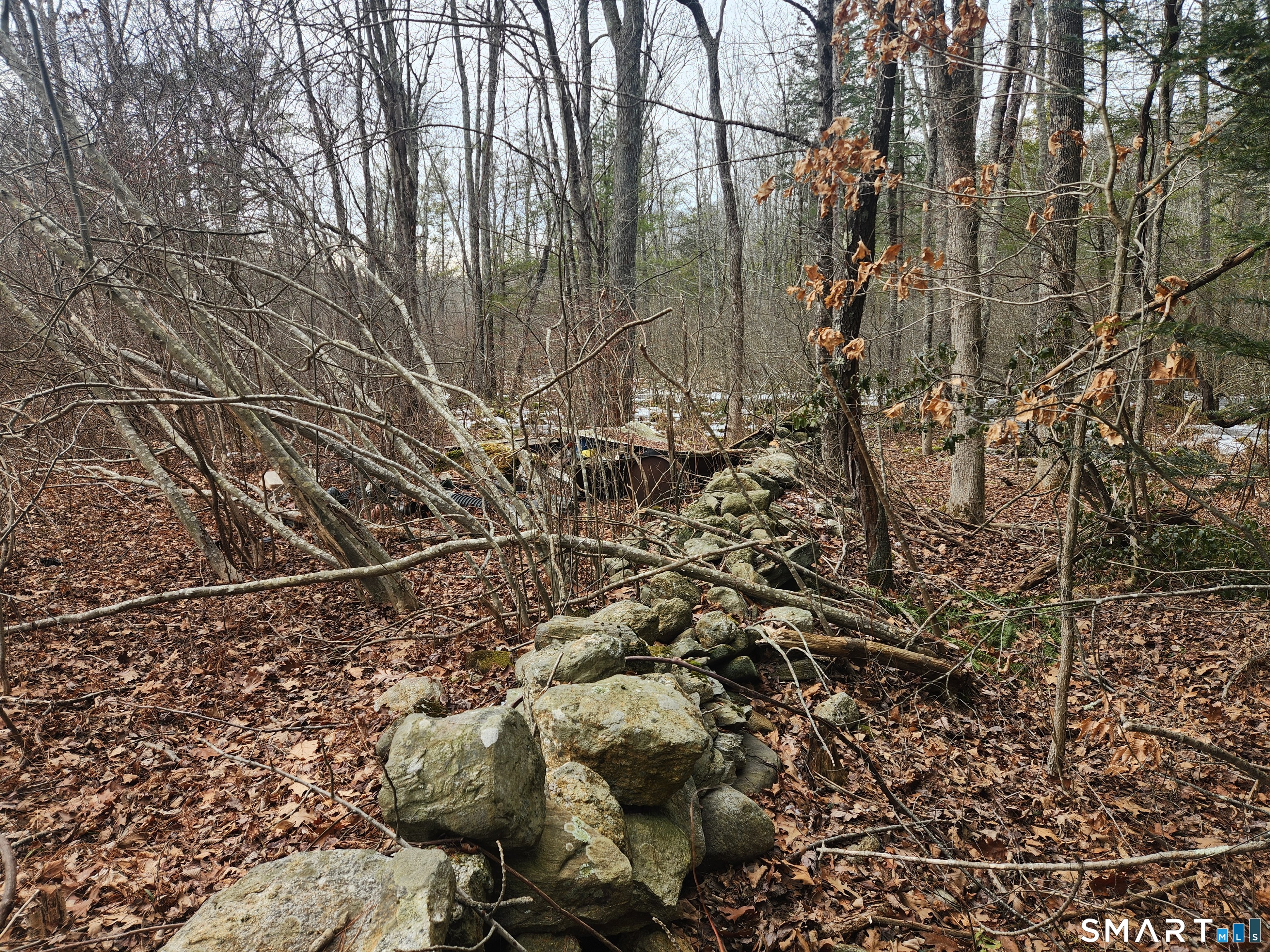 Lyon Hill Road Woodstock CT 06281