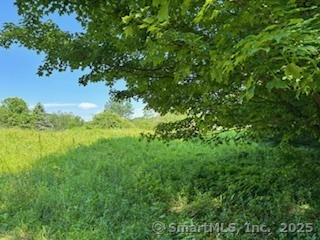 115 Mcbride Road Litchfield CT 06759