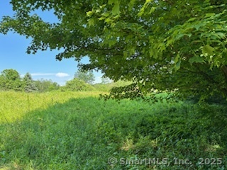 115 Mcbride Road Litchfield CT 06759