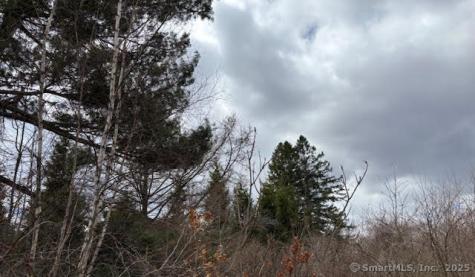 115 Mcbride Road Litchfield CT 06759