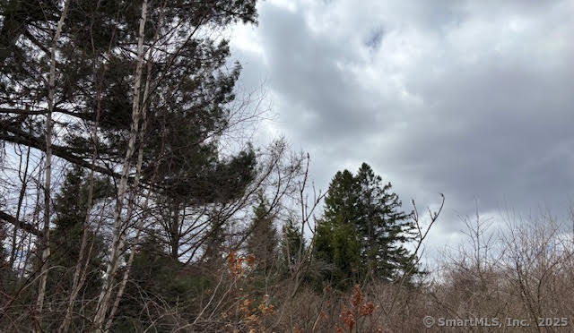 115 Mcbride Road Litchfield CT 06759