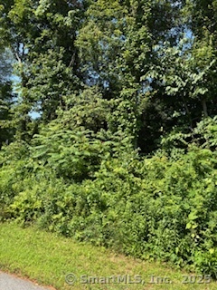 115 Mcbride Road Litchfield CT 06759