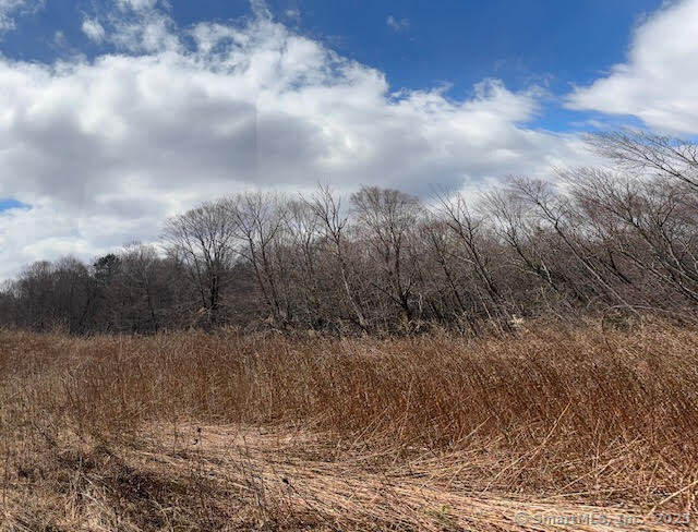 115 Mcbride Road Litchfield CT 06759