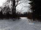 115 Mcbride Road Litchfield CT 06759
