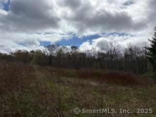 115 Mcbride Road Litchfield CT 06759