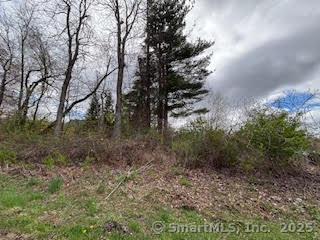 115 Mcbride Road Litchfield CT 06759