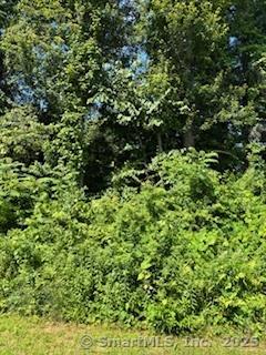 115 Mcbride Road Litchfield CT 06759