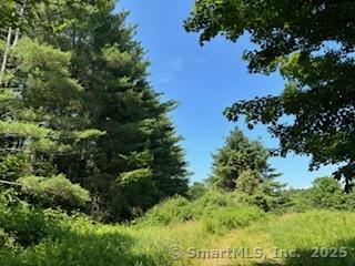 115 Mcbride Road Litchfield CT 06759