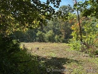 115 Mcbride Road Litchfield CT 06759