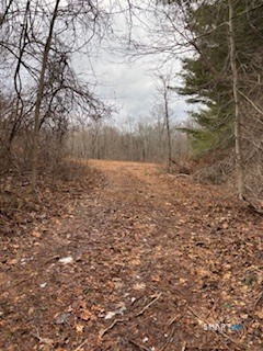 115 Mcbride Road Litchfield CT 06759