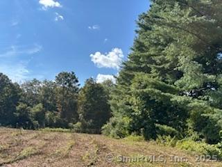 115 Mcbride Road Litchfield CT 06759