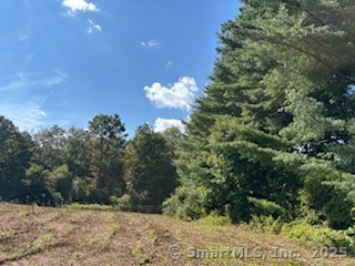 115 Mcbride Road Litchfield CT 06759