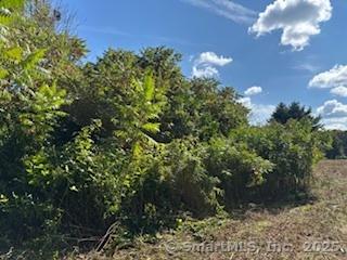 115 Mcbride Road Litchfield CT 06759