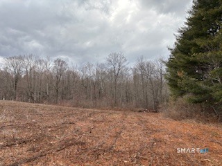 115 Mcbride Road Litchfield CT 06759