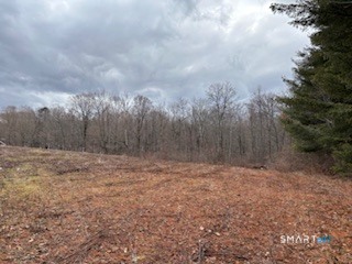 115 Mcbride Road Litchfield CT 06759