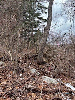 115 Mcbride Road Litchfield CT 06759