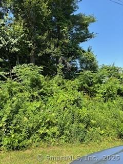 115 Mcbride Road Litchfield CT 06759