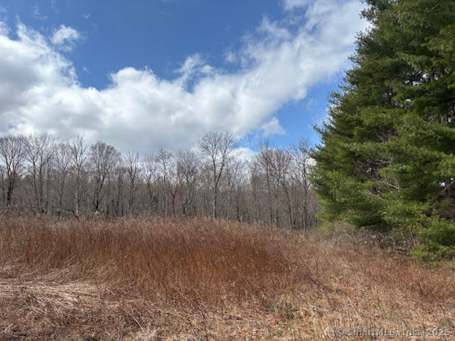 115 Mcbride Road Litchfield CT 06759